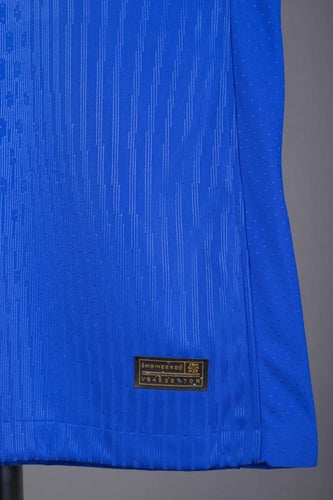 قميص فرنسا الاساسي 2024/2025 نسخه الاعبين