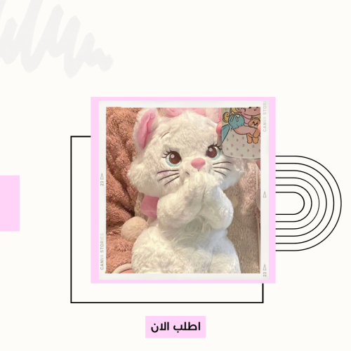 دمية ماري القط