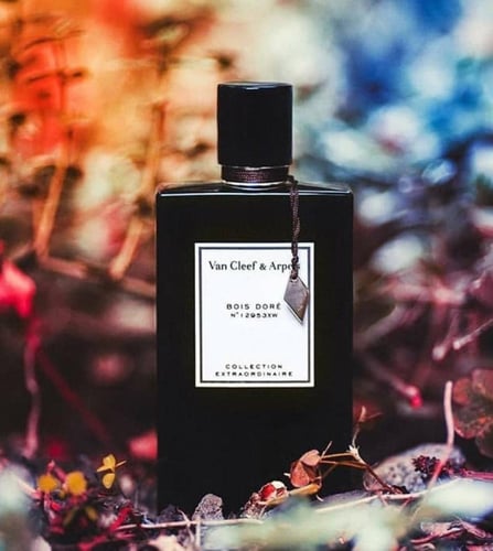 فان كلايف BOIS DORE