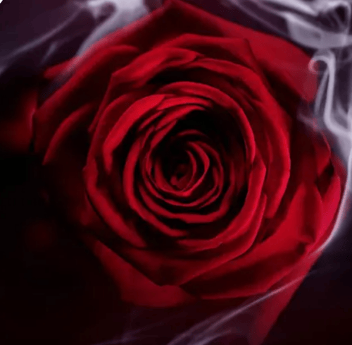 بلغاري LE GEMME GARANAT