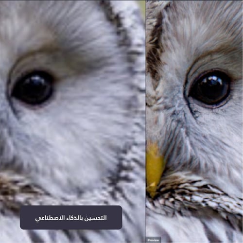 طباعة كانفس 70x100سم