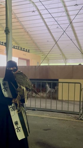 عباية شال السيف