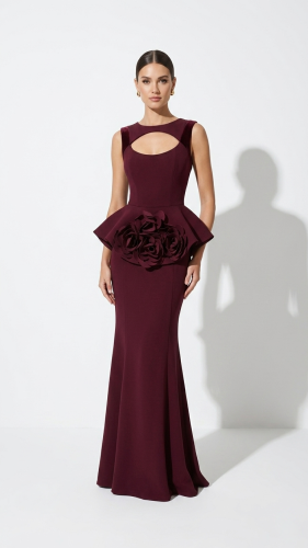 Burgundy Dress