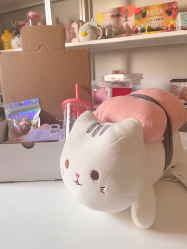 Sushi doll box