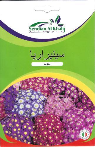 بذور سينيراريا ( مخلوط)
