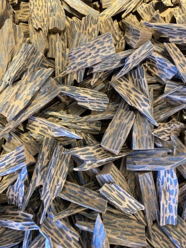 عود السيوفي الفيتنامي