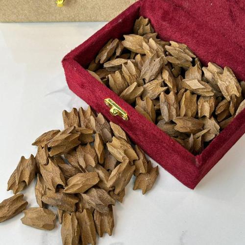 عود الفراشة