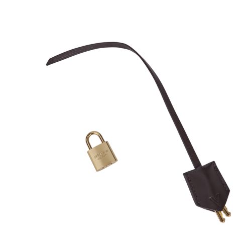 حقيبة هوبو صغيرة ذهبية اللون من الشوكولاتة-ڤيرا فا...