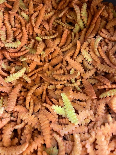 مكسرات مشكلة حارة