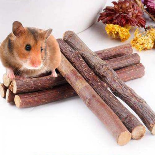 عصا التفاح للمضغ