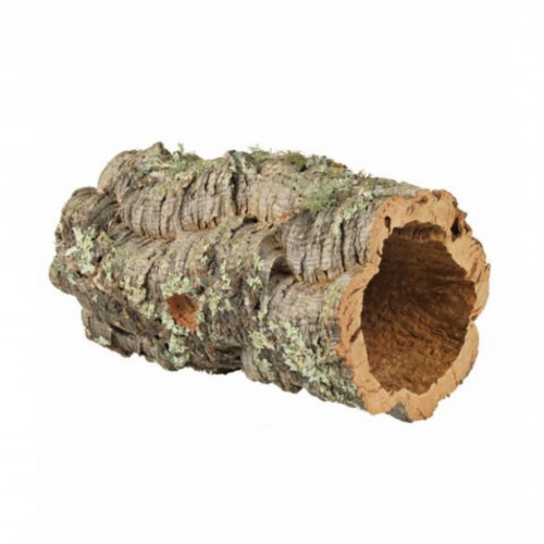 لحاء البلوط وسط عريض