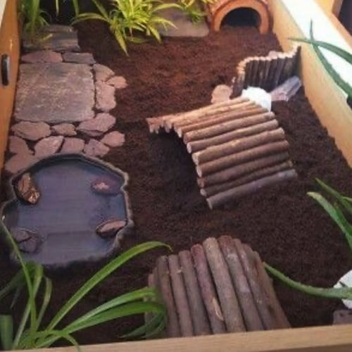 تربة جوز الهند مضغوطة