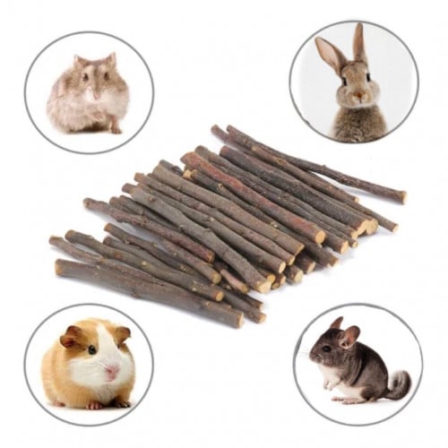 عصا التفاح للمضغ