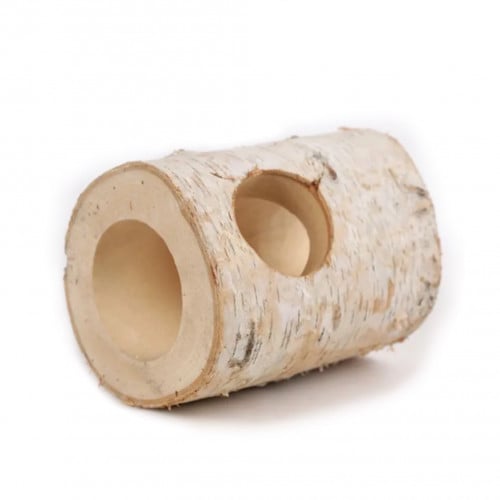 نفق شجر البتولا