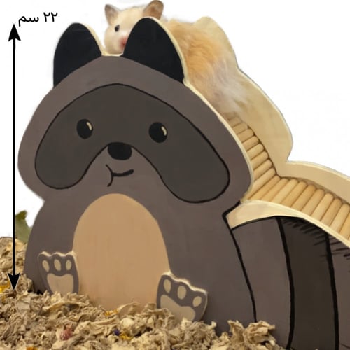 بيت وجسر خشبي