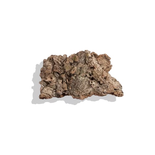 لحاء البلوط قطع