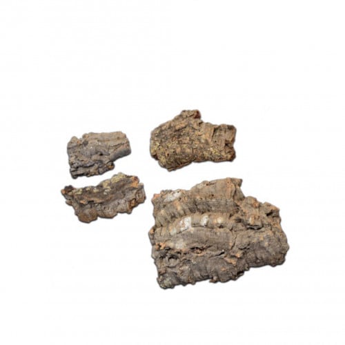 لحاء البلوط قطع