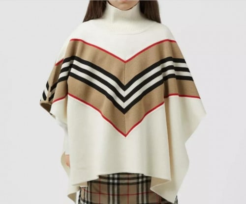 فخامة الشتاء