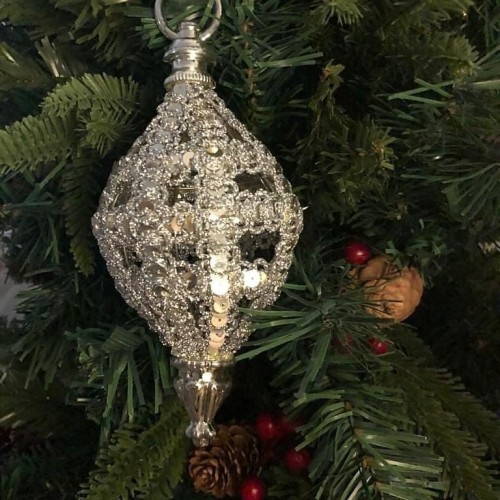 تعليقة شتوية