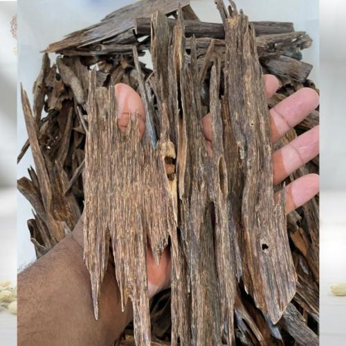 عود العواد هندي زوراء