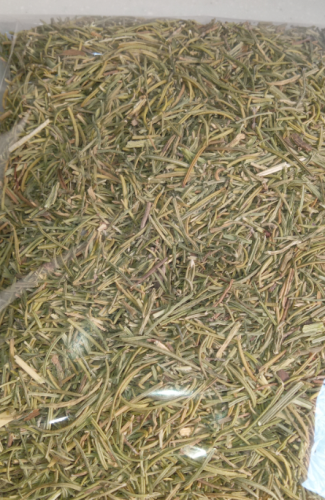 اكليل الجبل