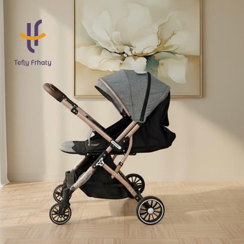 عربة الطيارة اتجاهين