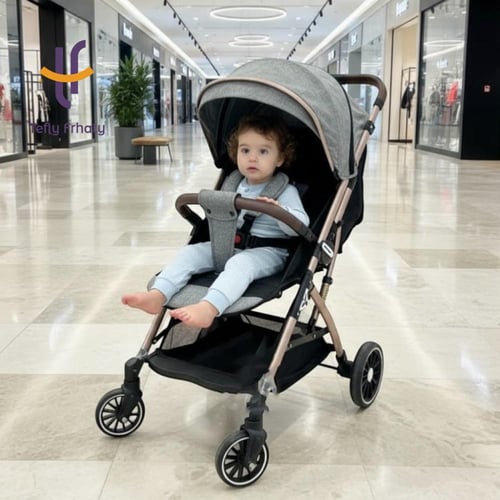 عربة الطيارة اتجاهين