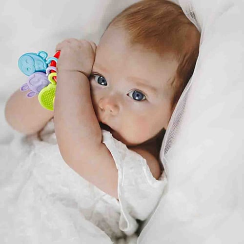 لعبة عضاضة من بيبي جيم