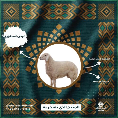 Small free sheep