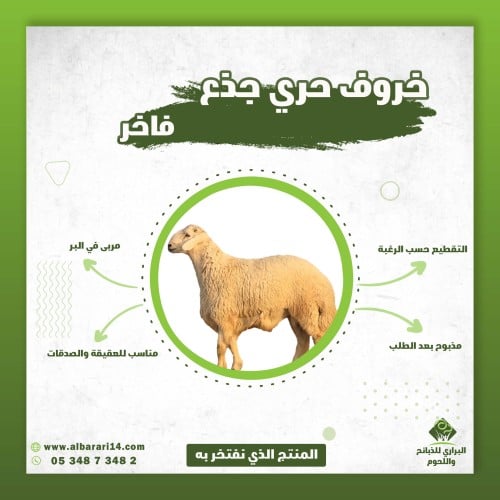 ربع ذبيحة حري فاخر