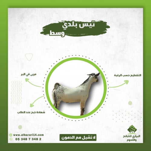 تيس بلدي بيشي وسط