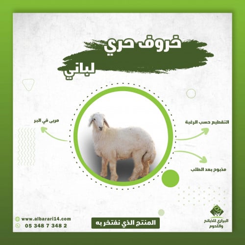 خروف حري لباني