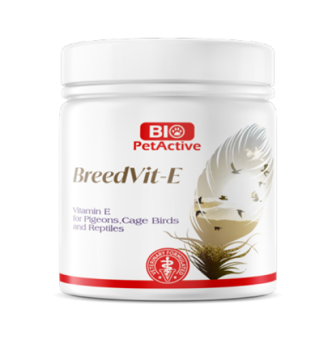 مكمل غذائي مُدعم بفيتامين هـ للطيور والزواحف 70 غ...
