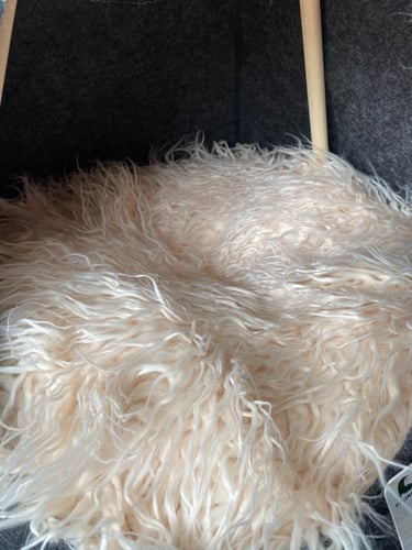 كوخ قطط 65 سم