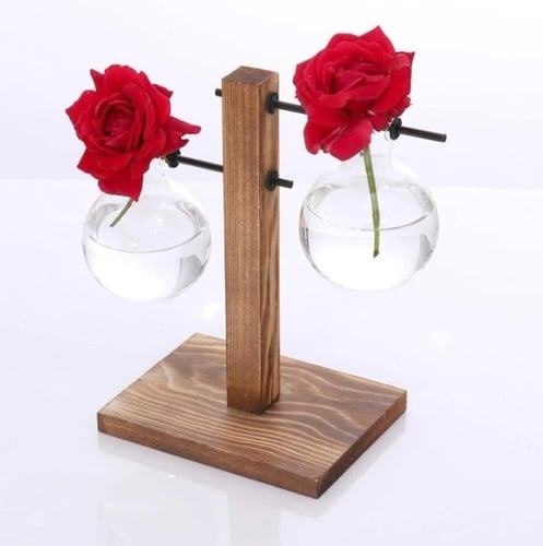 نبته زينة للمكاتب والطاولات