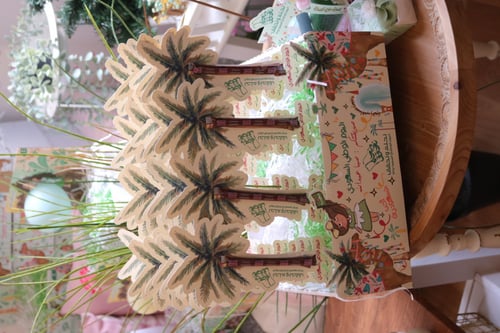 بوكس النخلات