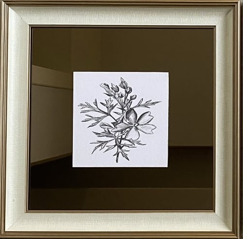 مجموعه من 6لوحات مقاس الوحه الوحده 50:50مرايا بني...