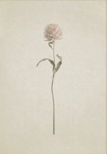 مجموعه من 6لوحات مقاس اللوحه الوحده 40:50السعر شام...