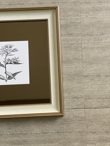 مجموعه من 6لوحات مقاس الوحه الوحده 50:50مرايا بني...