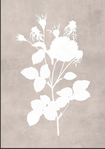 مجموعه من 6لوحات مقاس اللوحه الوحده 40:50السعر شام...