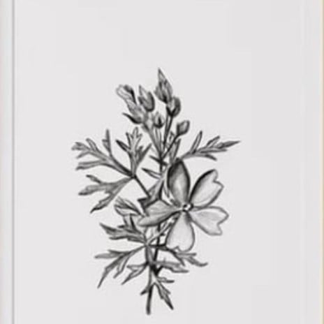 مجموعه من 6لوحات مقاس الوحه الوحده 50:50مرايا بني...