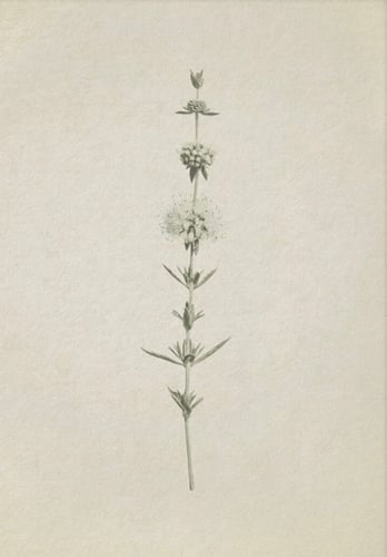 مجموعه من 6لوحات مقاس اللوحه الوحده 40:50السعر شام...