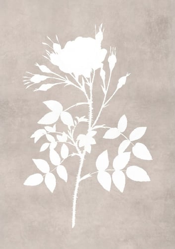 مجموعه من 6لوحات مقاس اللوحه الوحده 40:50السعر شام...