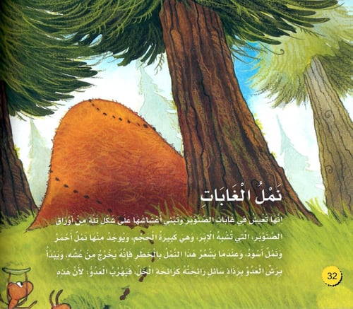 اكتشف عالم النمل