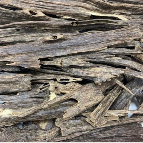 هندي آسامي فاخر