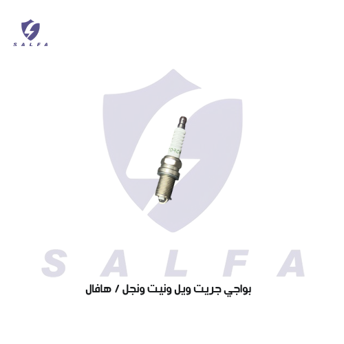 بواجي جريت ويل ونيت ونجل / هافال