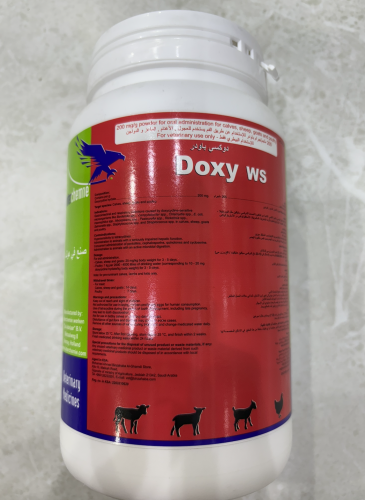 دوكسي باودر