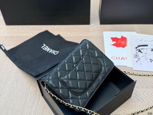 شنطة نسائية CT3