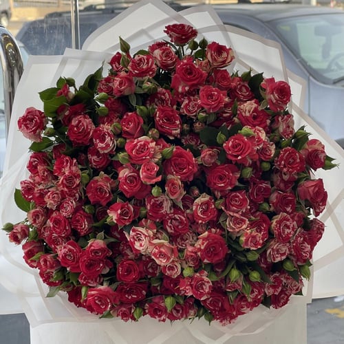 باقة البيبي جوري