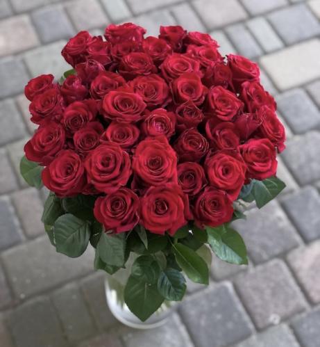 فازة الجوري الأحمر